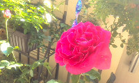 rblog-20131022142328-01.png