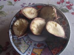 9.30  yudeta kuri.jpg