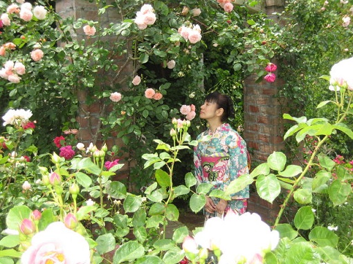 アカオ花に囲まれ匂いかぐ.jpg
