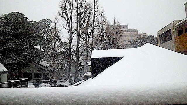 140208_143231.jpg