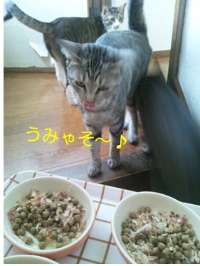 20120904_2.jpg