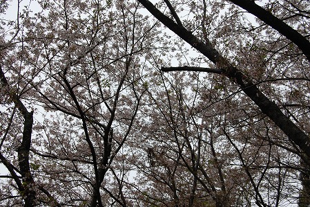 s-DSC_0336.jpg