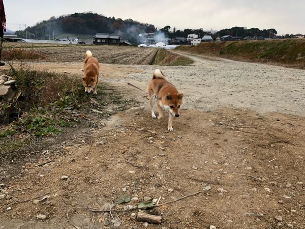 rblog-20171212092618-02.jpg