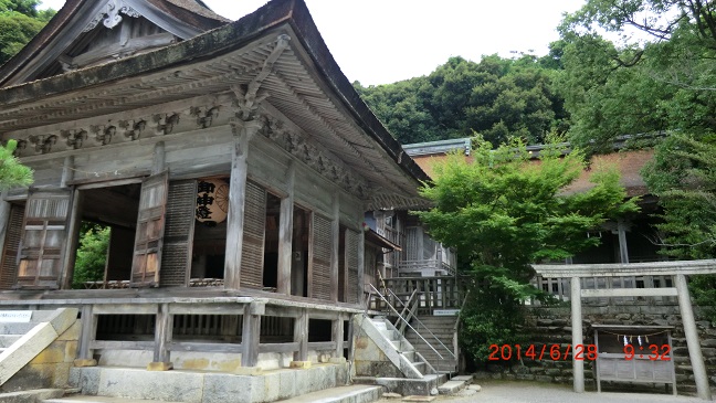 CIMG0221.JPG