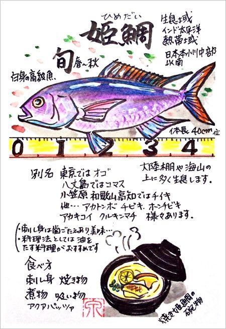 いづみさんのお魚図鑑 その４ 末摘む花の雑記帳 楽天ブログ