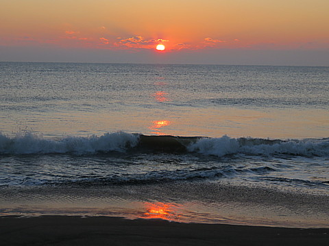IMG_8095.jpg