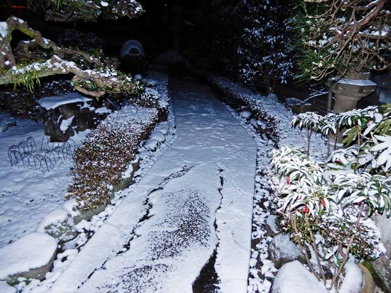 24日の雪1