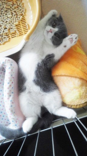 20140530100905.jpg