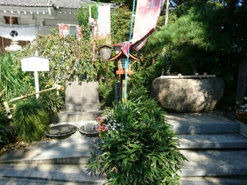 rblog-20170109230921-02.jpg