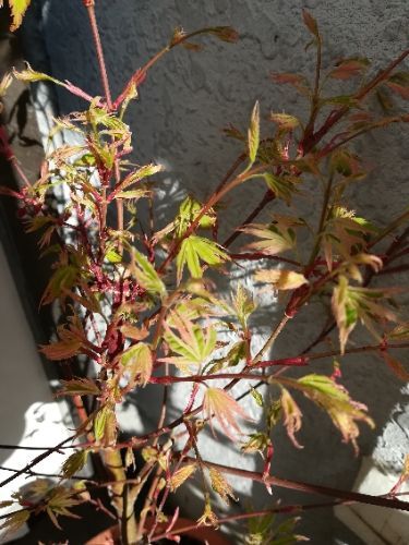 rblog-20180330095200-02.jpg
