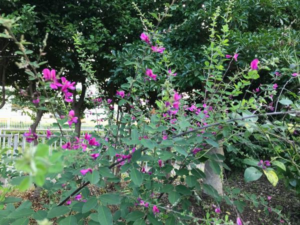 rblog-20180624181756-00.jpg