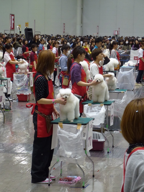 P1000242 - コピー.JPG