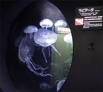 加茂45.jpg