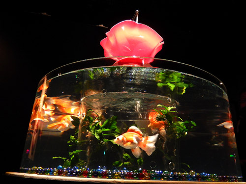 金魚２