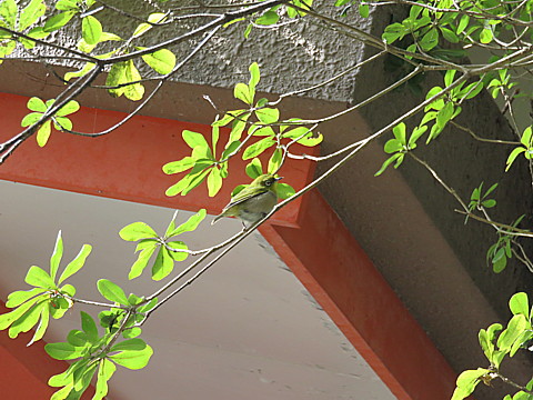 IMG_5491.jpg