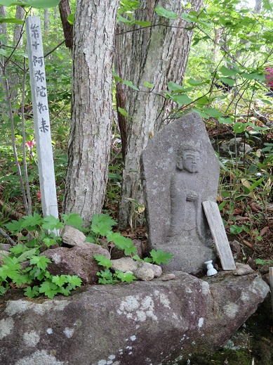 2日目は飯縄山・・・虫との格闘 | KIKIの山行き・・・ 山と山の花 - 楽天ブログ