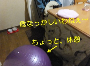 20121025_3.jpg