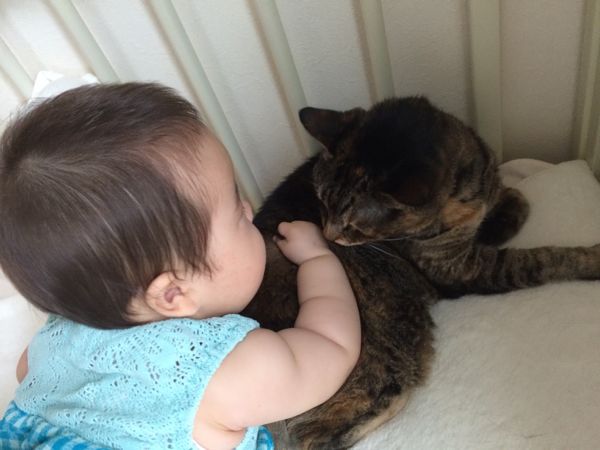 rblog-20140719095959-03.jpg