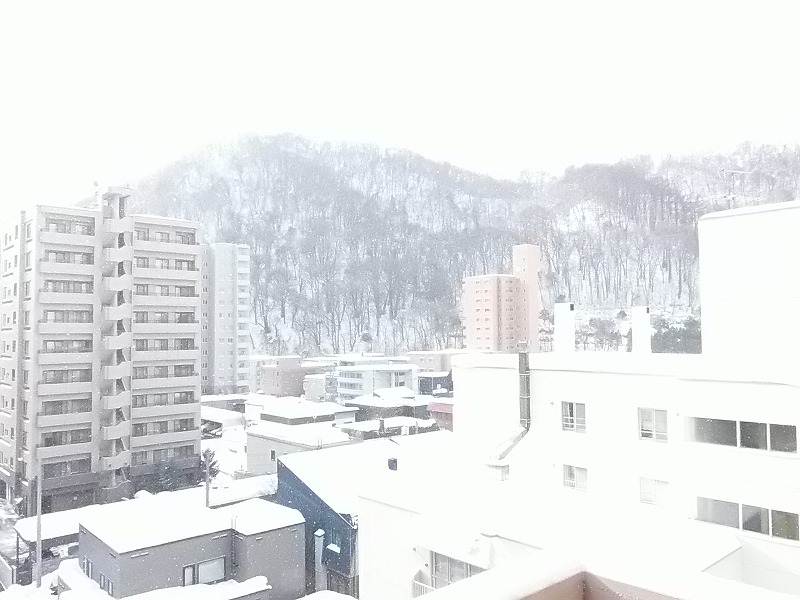 P1270039.jpg