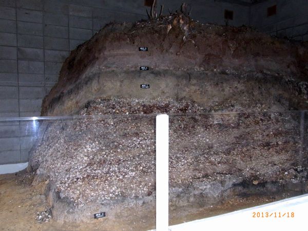 １１／１８貝塚保護建屋.jpg