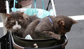 IMG_1569-25.jpg