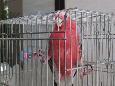 025_Oumu.jpg