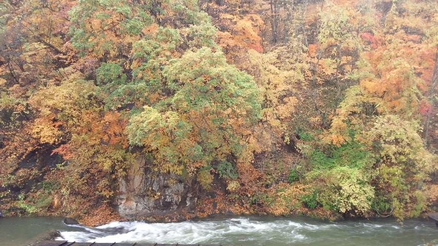川と紅葉.JPG