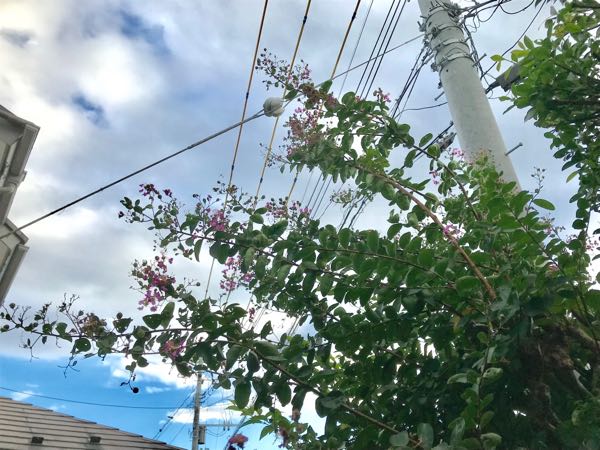 rblog-20180928162206-01.jpg