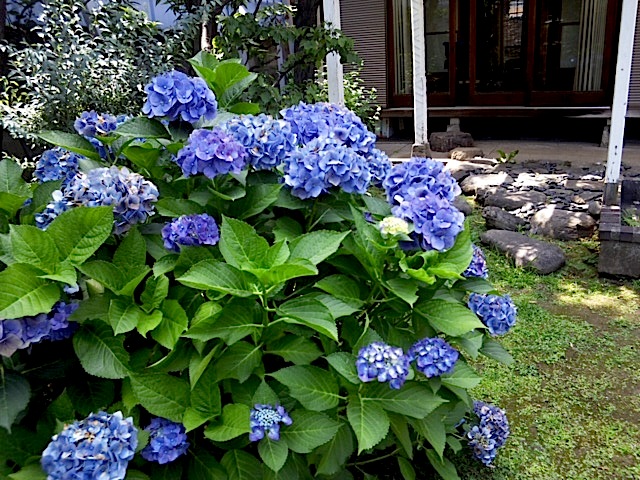 120630_132036.jpg