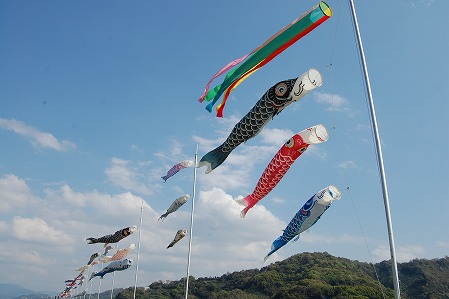s-DSC_0387.jpg