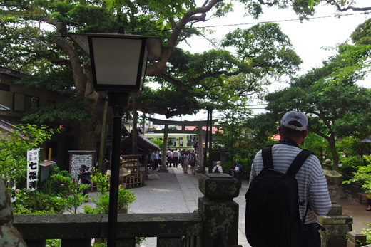 IMGP0431.jpg