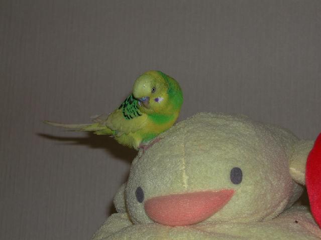 DSCN5752.jpg