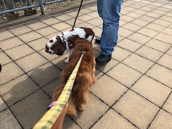 rblog-20180303231628-03.jpg