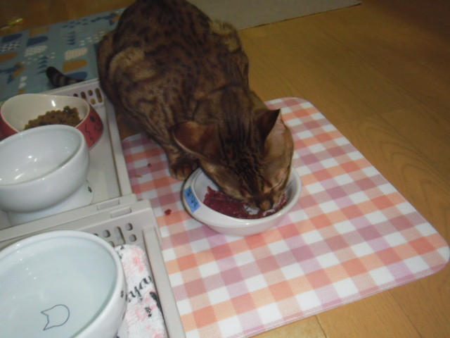 2016_03020044.JPG