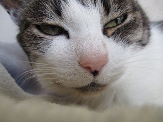 IMG_8992ss.jpg