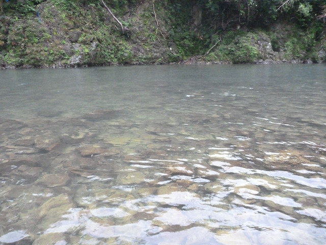 resize0026.jpg
