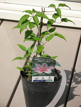 2012庭7