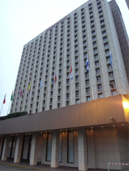 南米981.jpg