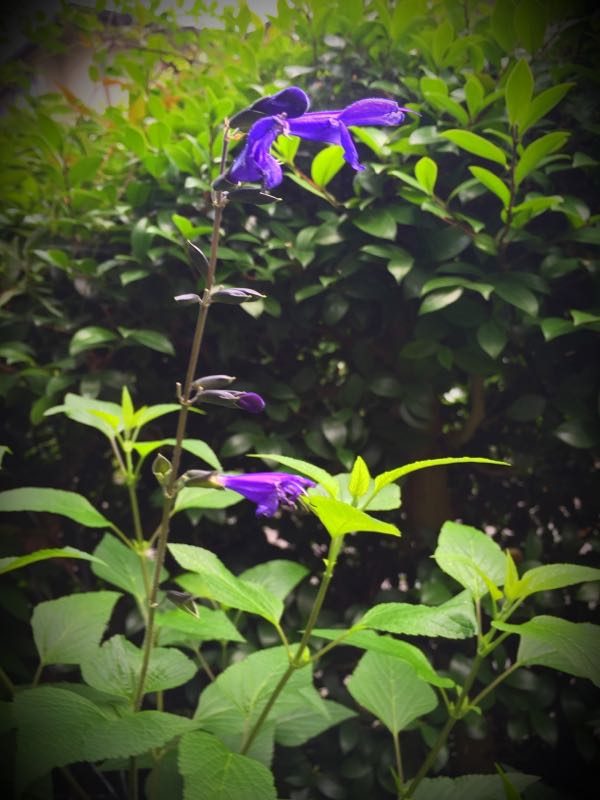 rblog-20160630184836-01.jpg