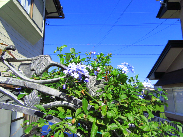 IMG_6836.JPG