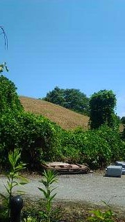 鉄砲山古墳５