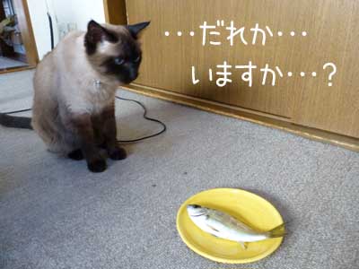 アジ２.JPG