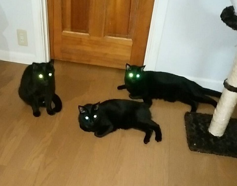 26551.jpg