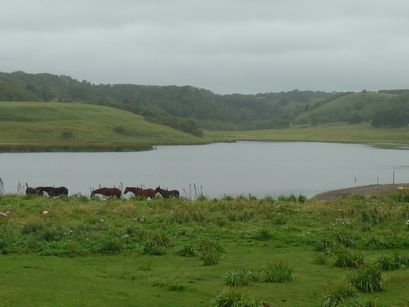 P1090827.JPG