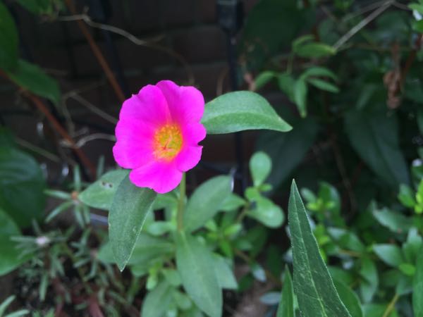 rblog-20160625182717-08.jpg