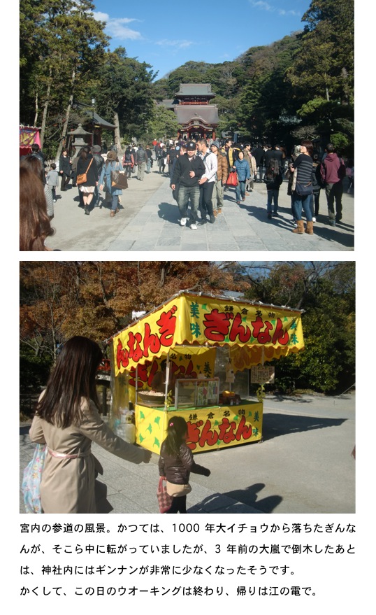 2013.12.01-7.jpg