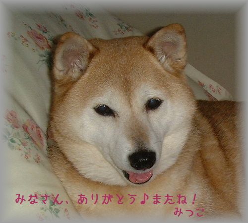 DSCF0006.jpg