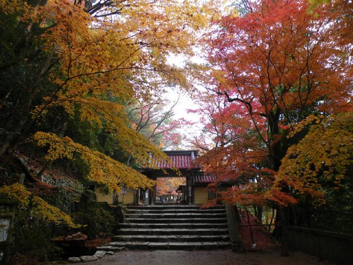 しが湖東c13永源寺.JPG