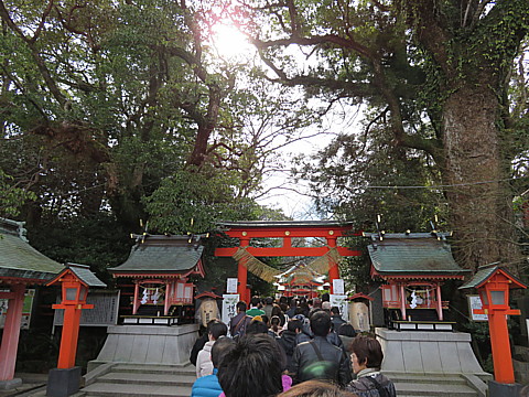 IMG_5483.jpg