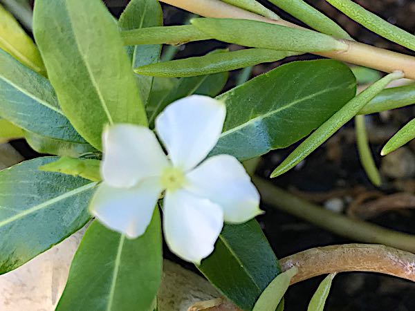 rblog-20181029111210-05.jpg